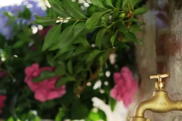 Domaine de Thil — photo 7