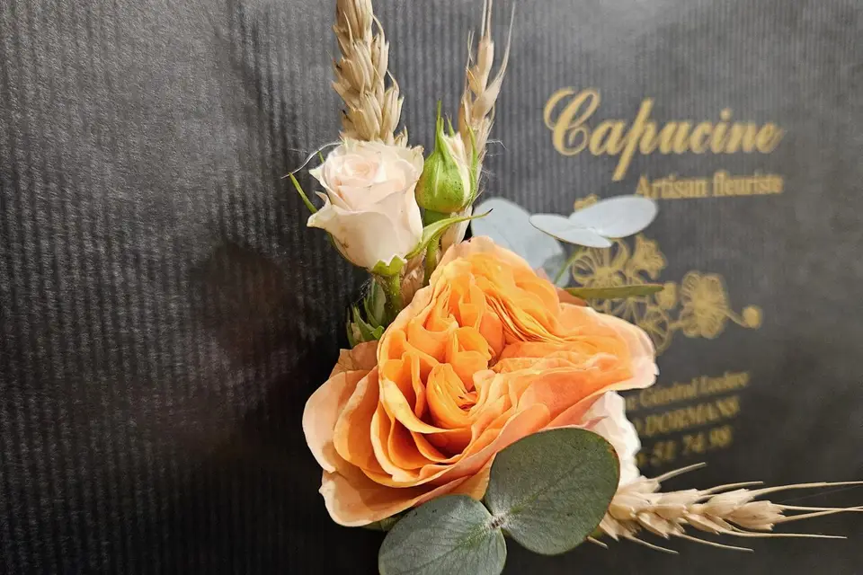 Capucine — photo 1