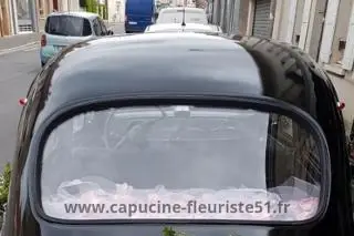 Capucine — photo 4