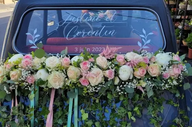 Capucine — photo 5