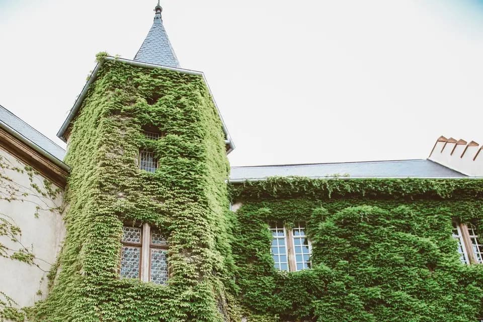 Marie Malvoisin Photography — photo 7