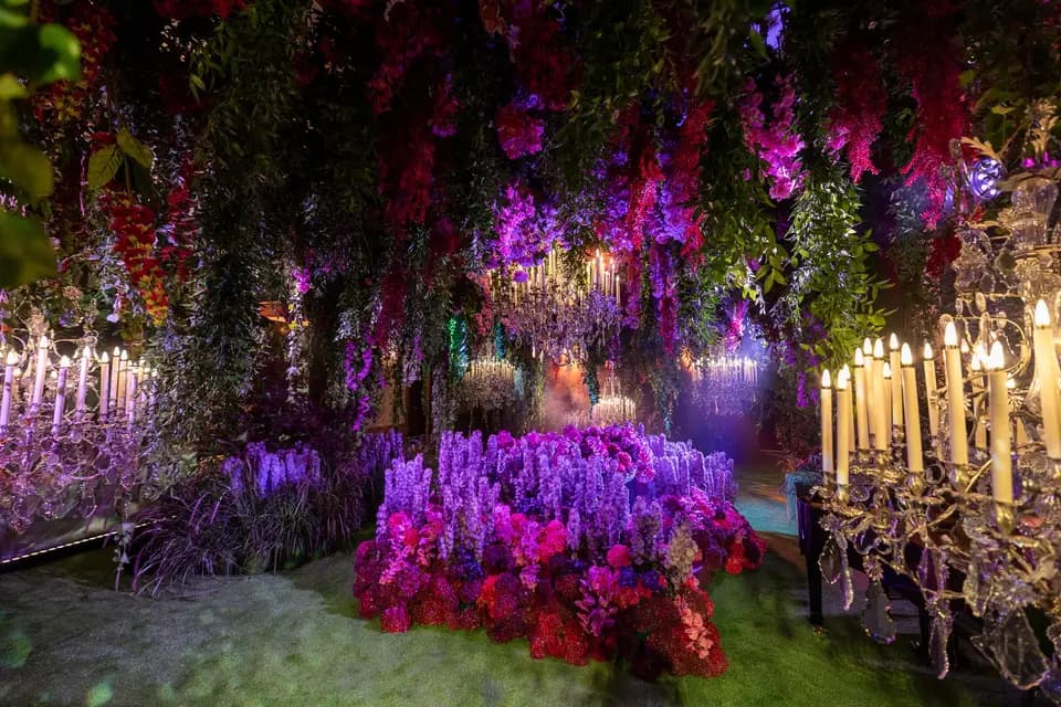 Phénix Films — photo 1