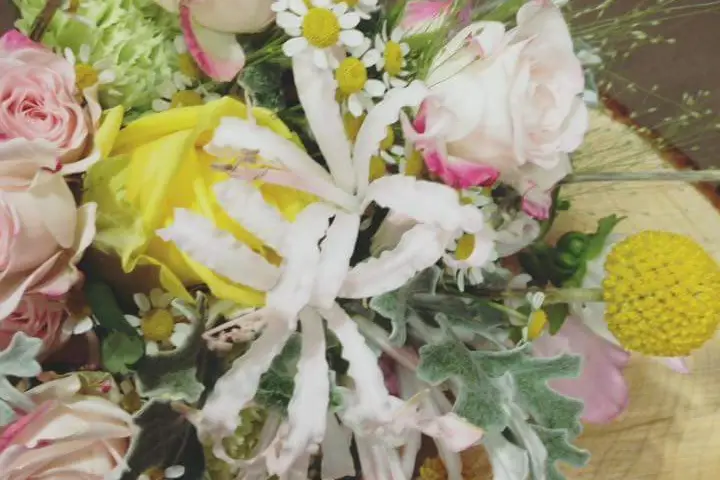 Art & Végétal — photo 7