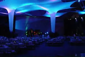 Caputi Mario Animation — photo 6