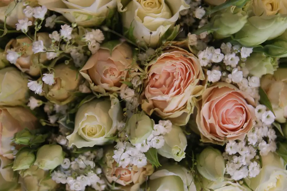 Poésie de Fleurs — photo 2