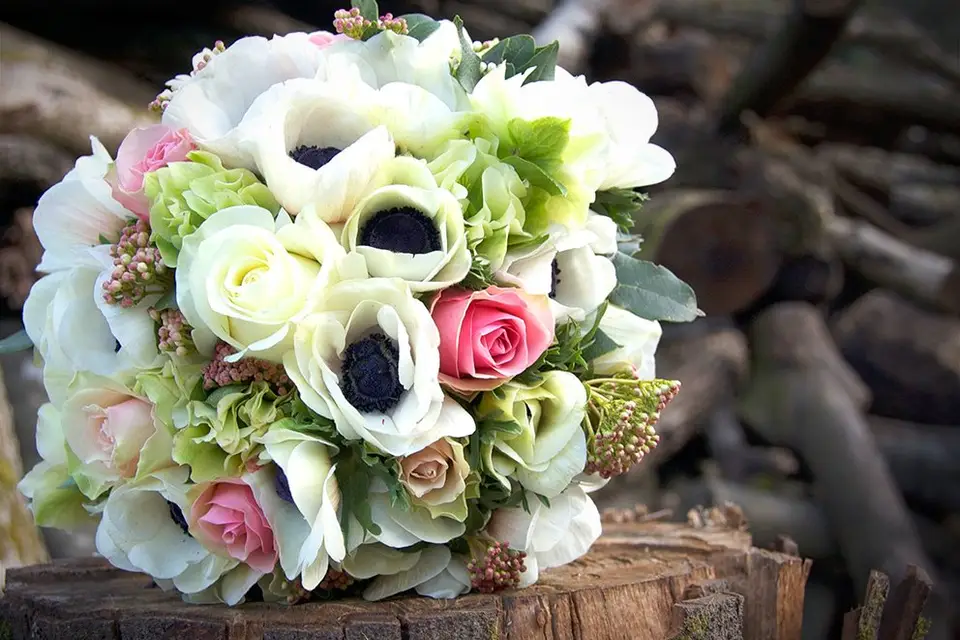 Lifevents — photo 1