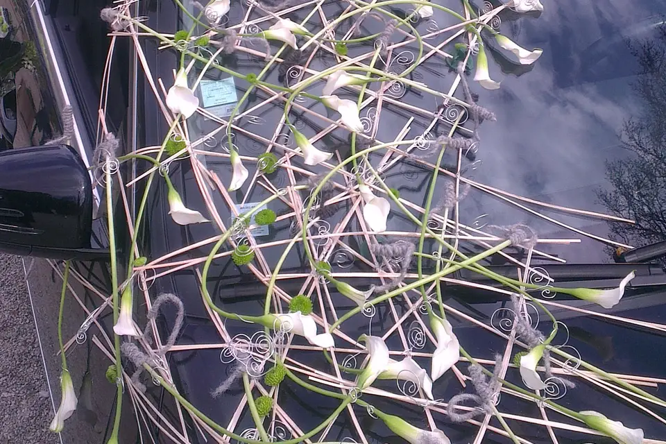 Le Temps des Fleurs — photo 2