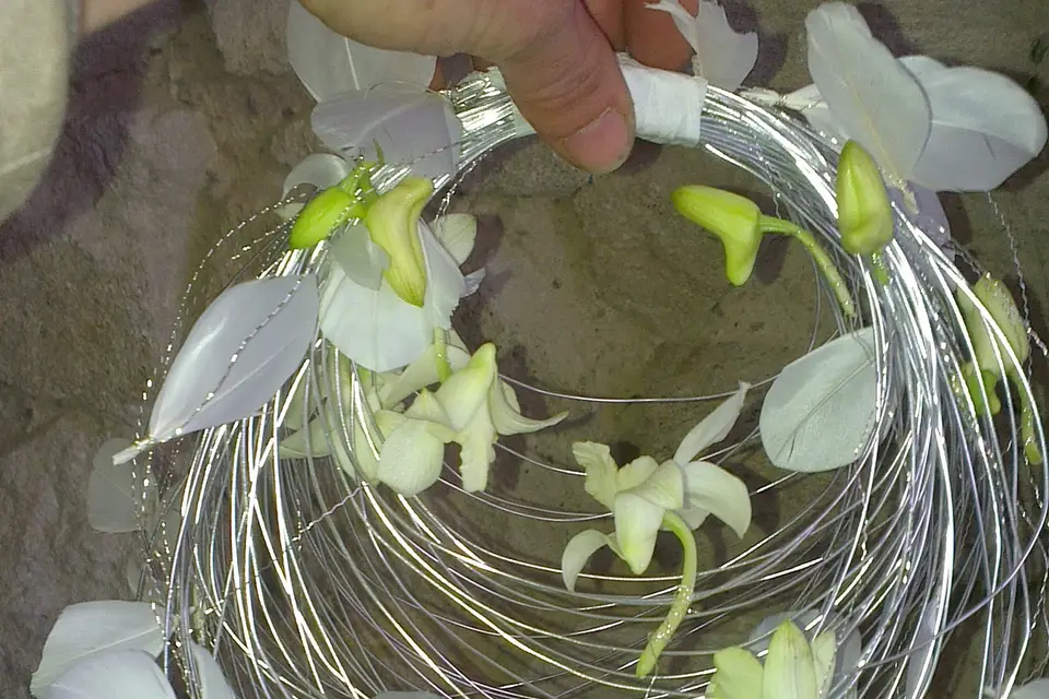 Le Temps des Fleurs — photo 4