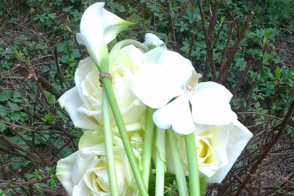 Le Temps des Fleurs — photo 7