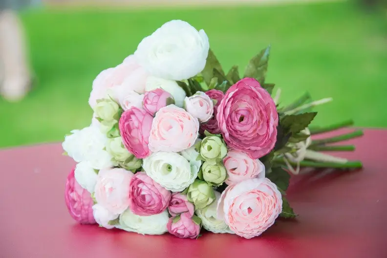 Plume d'un instant — photo 3