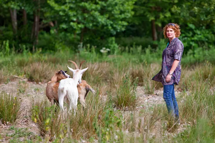 Château de la Vérie — photo 7