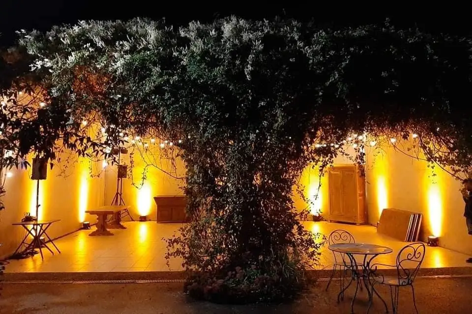 La Petite Motte — photo 3