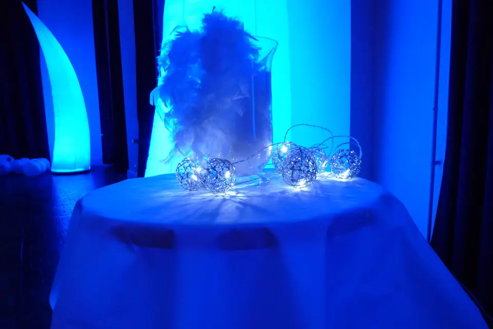 Evenlight — photo 3