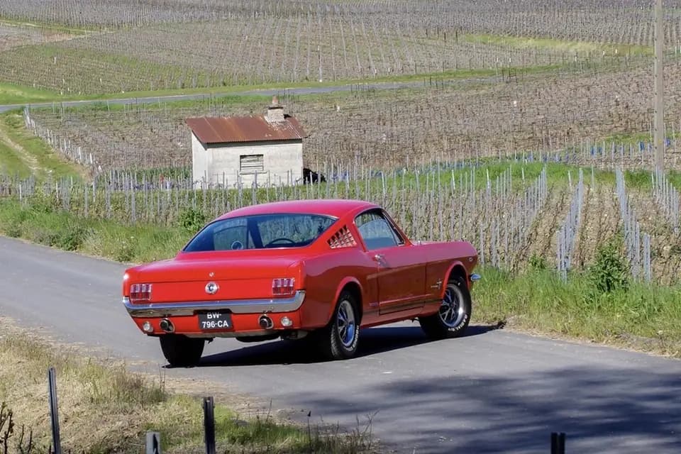 Mustang Wedding — photo 3