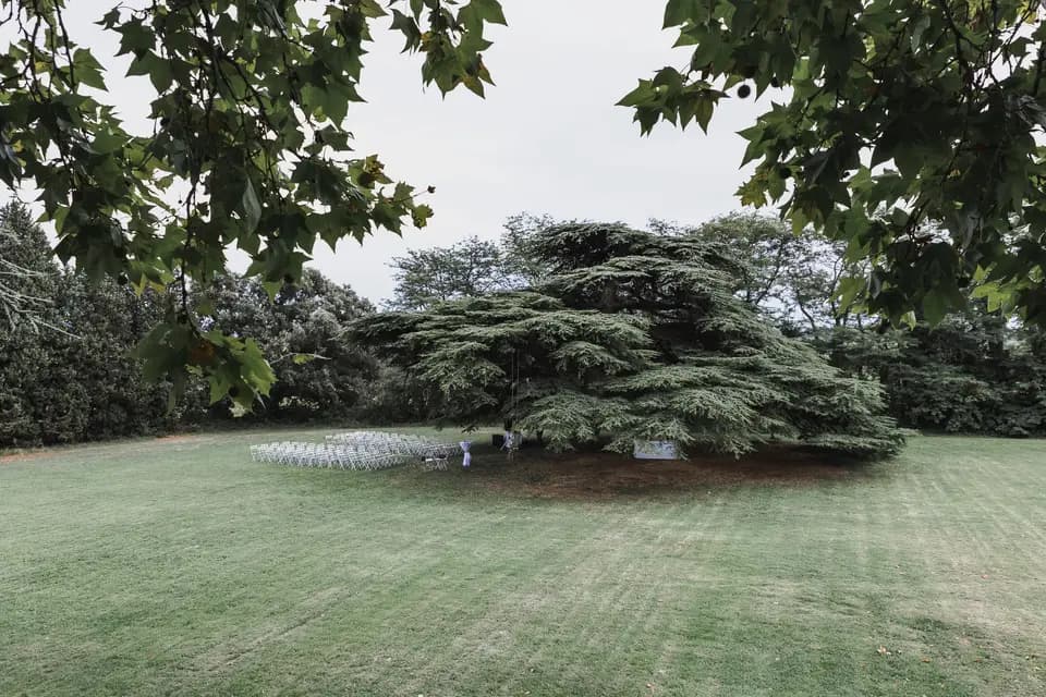 Pictur'Al Photo — photo 7