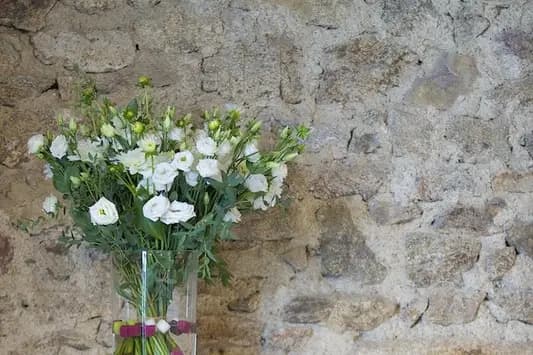 Jaune Pivoine — photo 5