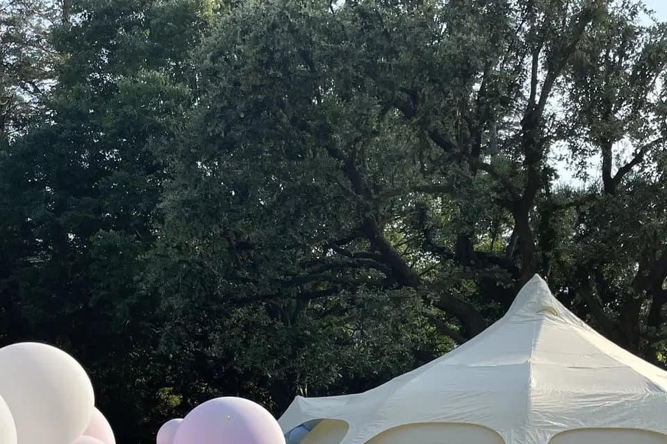 Aurae Cocoon — photo 3