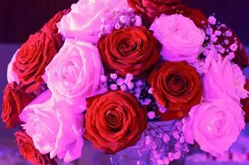 Gabriel Décor — photo 7