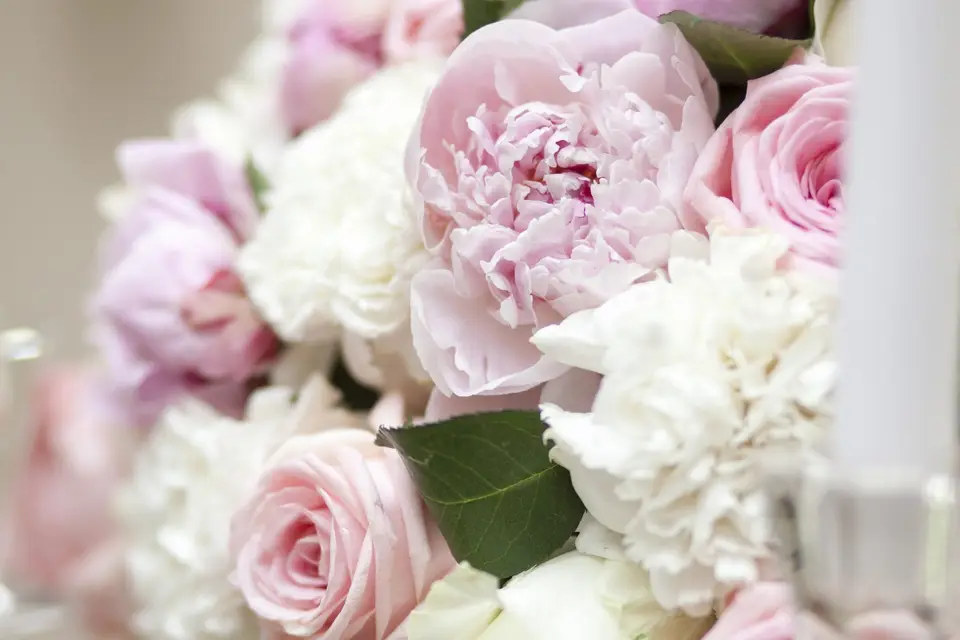 Gabriel Décor — photo 1