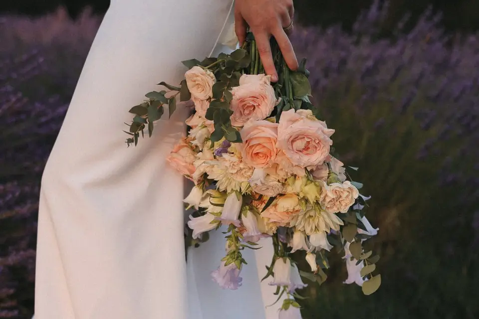 Amortencia — photo 6