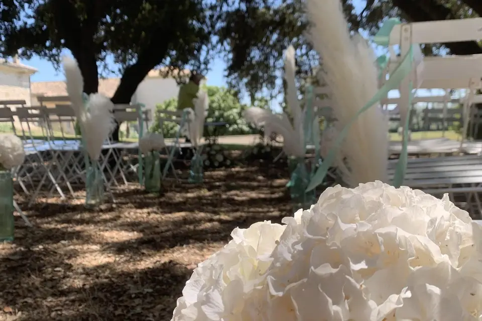 Fleurs de Provence — photo 5