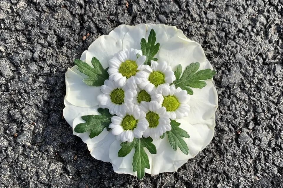 Fleurs de Provence — photo 8