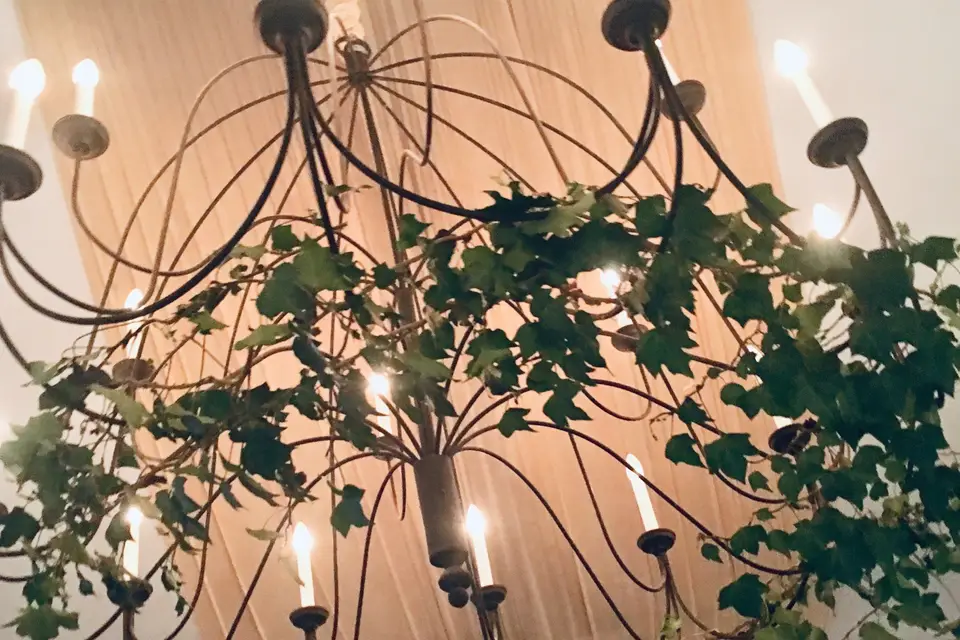 C. Barthélemy Events — photo 4