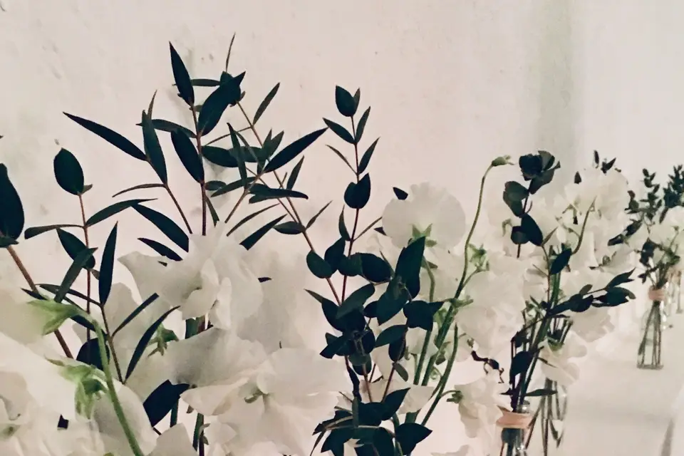 C. Barthélemy Events — photo 3