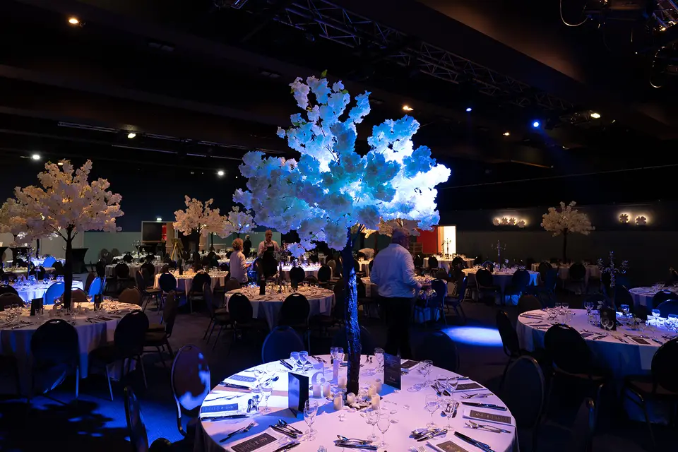 Studio-lasphere — photo 6