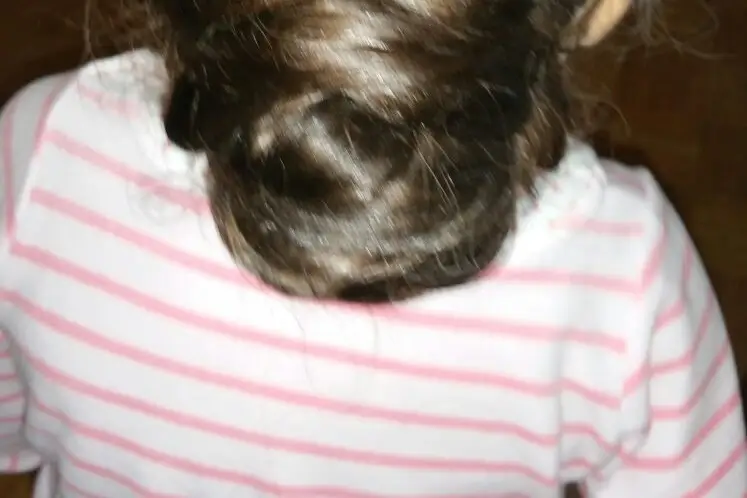 Coif.fée à domicile — photo 3