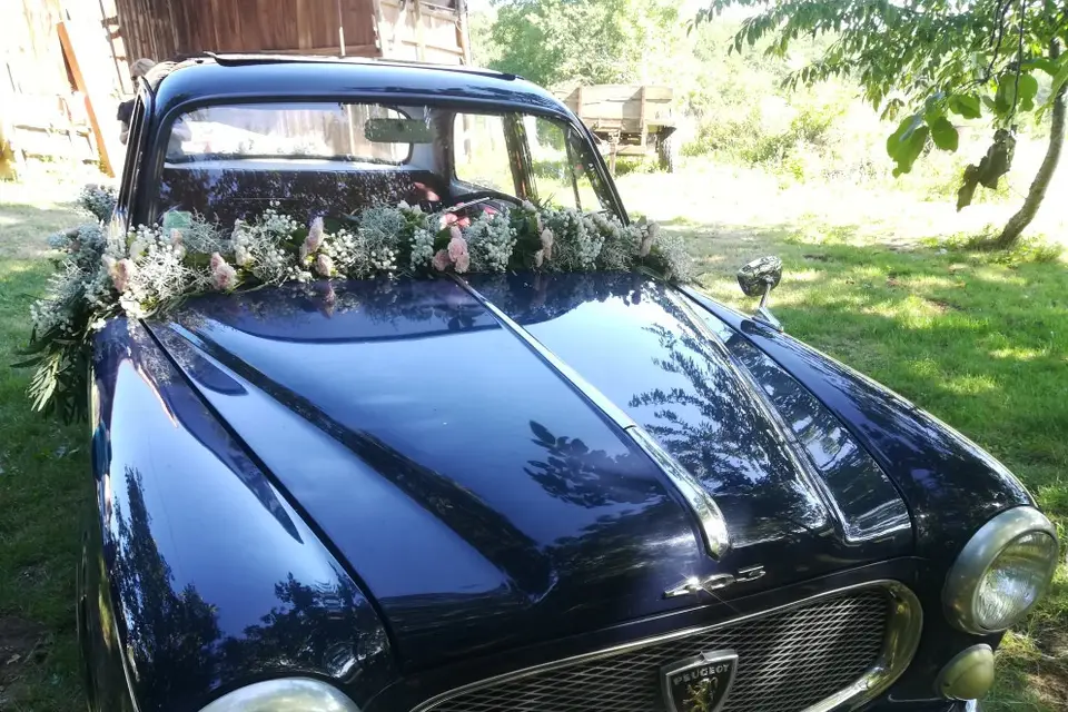 Camille Valette — photo 1