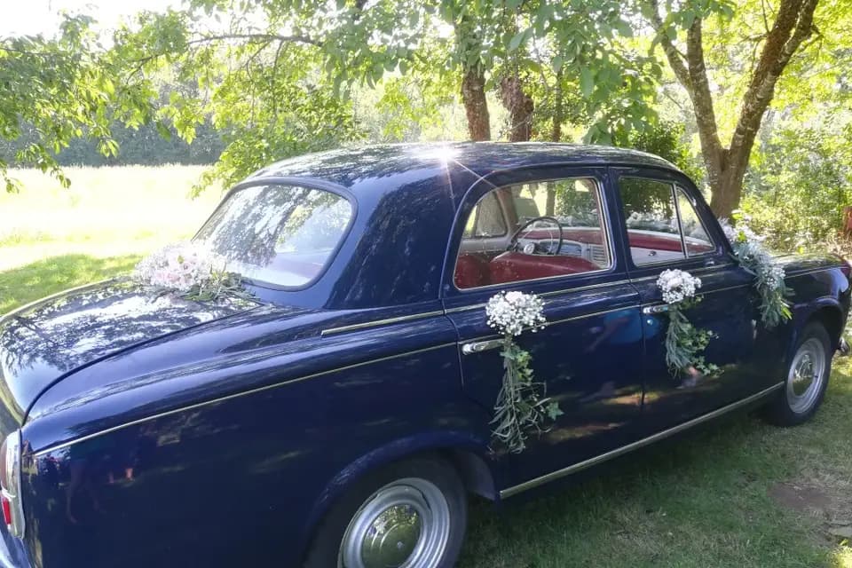 Camille Valette — photo 2