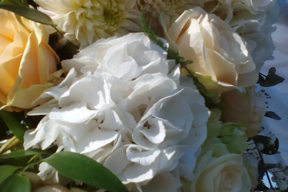 Camille Valette — photo 6