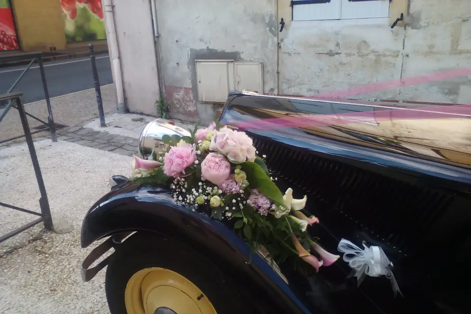 Camille Valette — photo 4