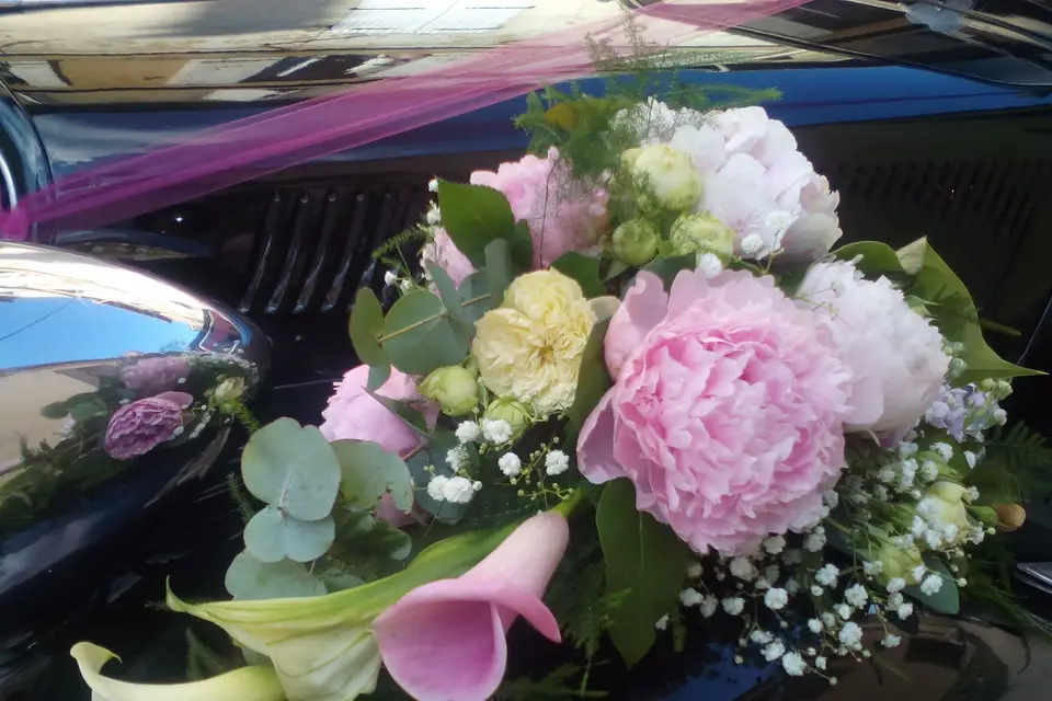 Camille Valette — photo 3