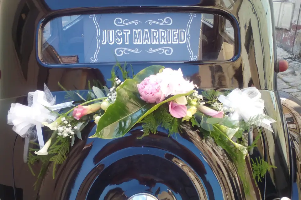 Camille Valette — photo 5