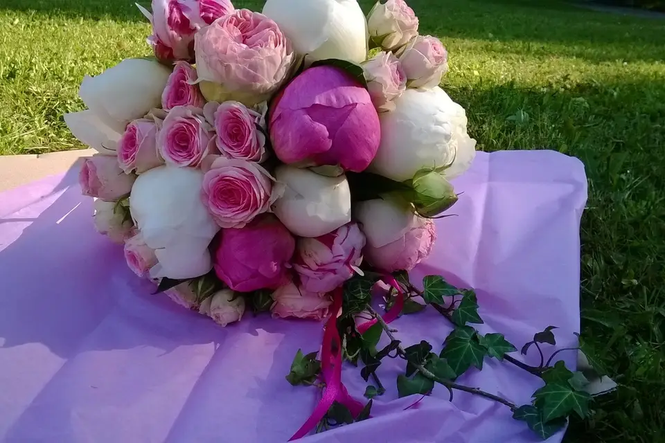 Camille Valette — photo 8