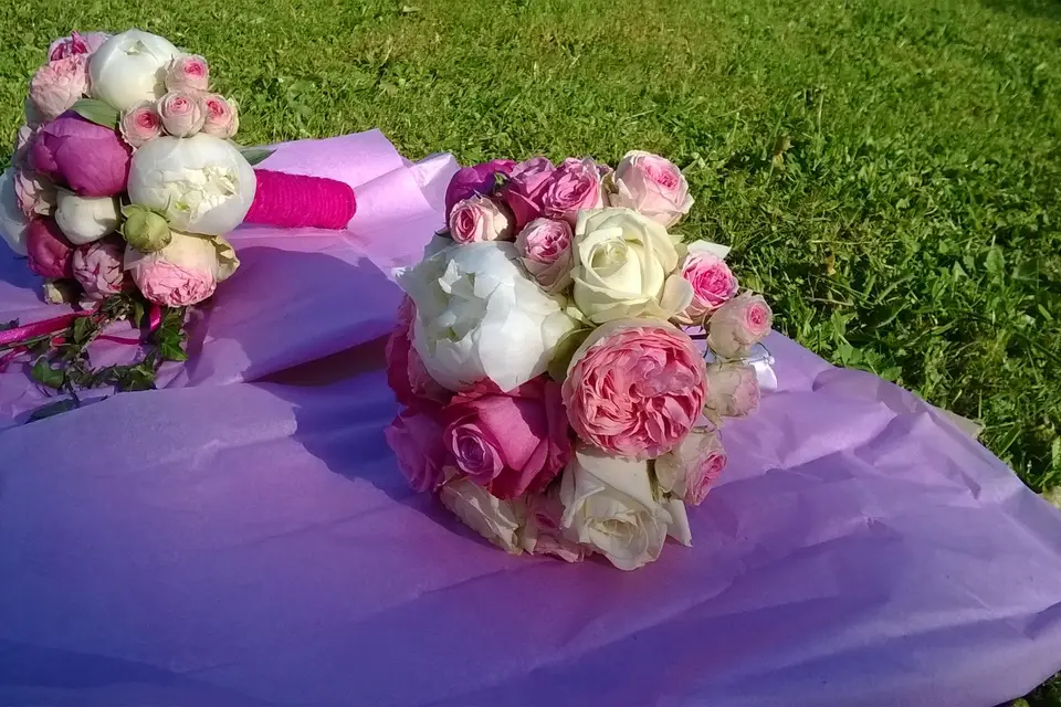 Camille Valette — photo 7