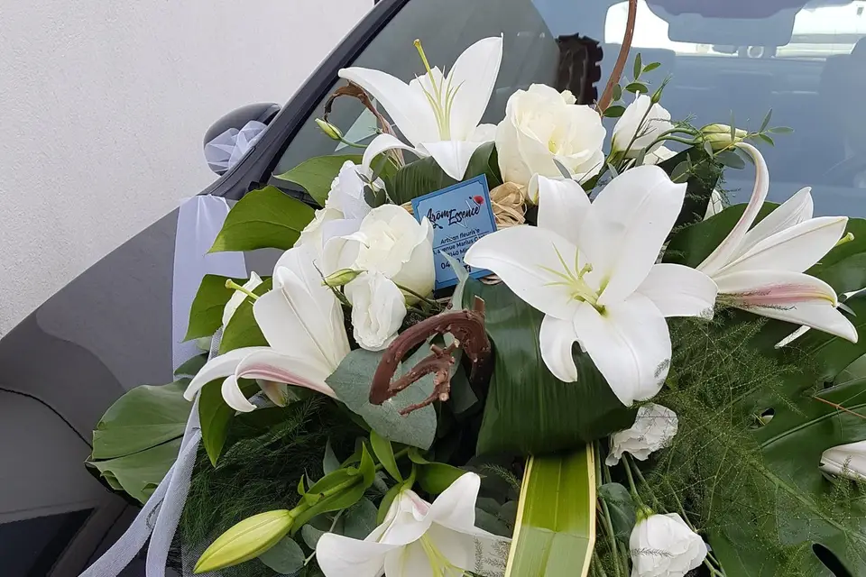 Aromessence — photo 6