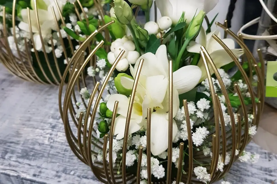 Aromessence — photo 5