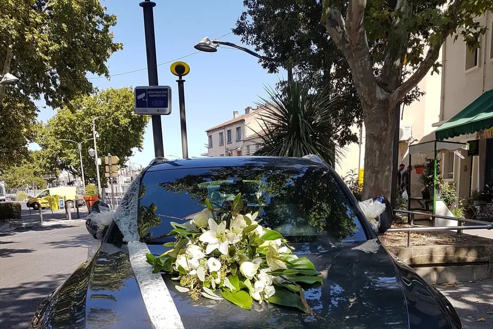 Aromessence — photo 4