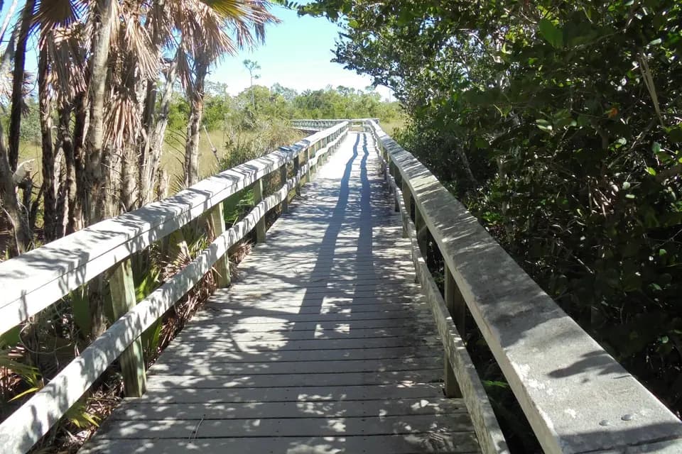 Storeesen — photo 6