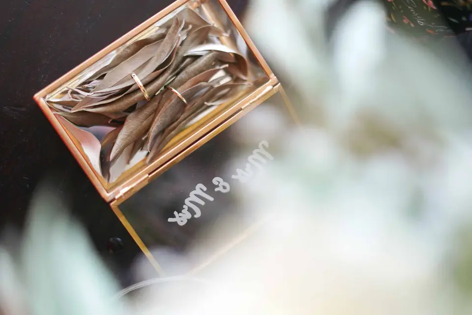 Coralie Claverie — photo 4