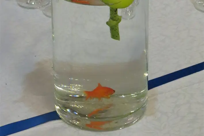 Comptoir Floral — photo 3