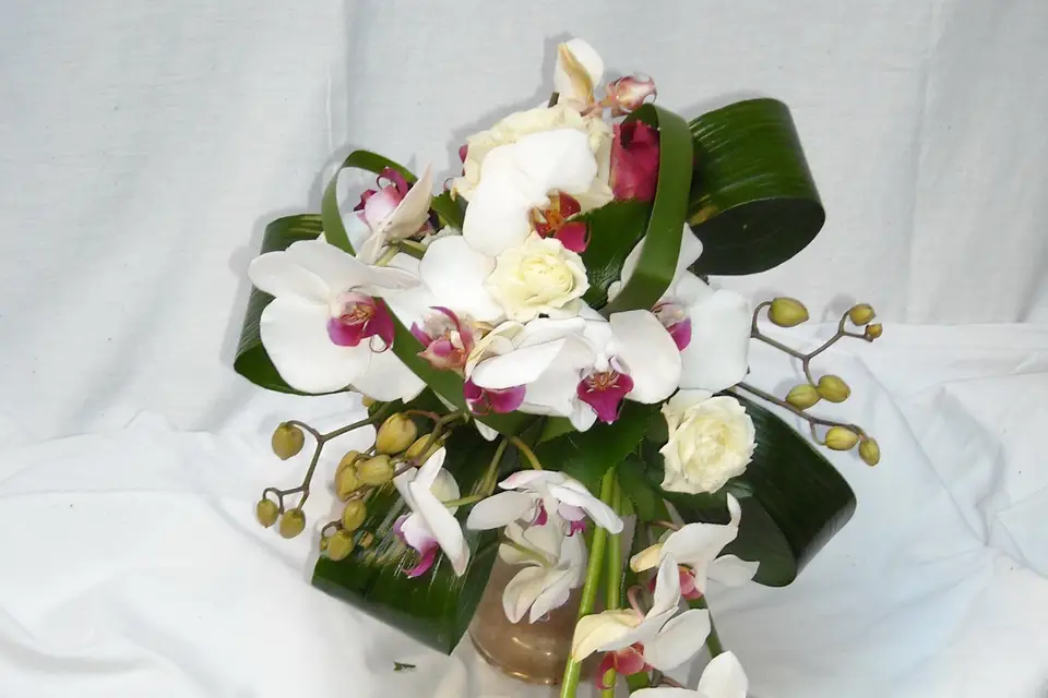 Monique Fleurs — photo 5