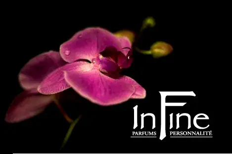 In Fine Parfums Avignon — photo 2