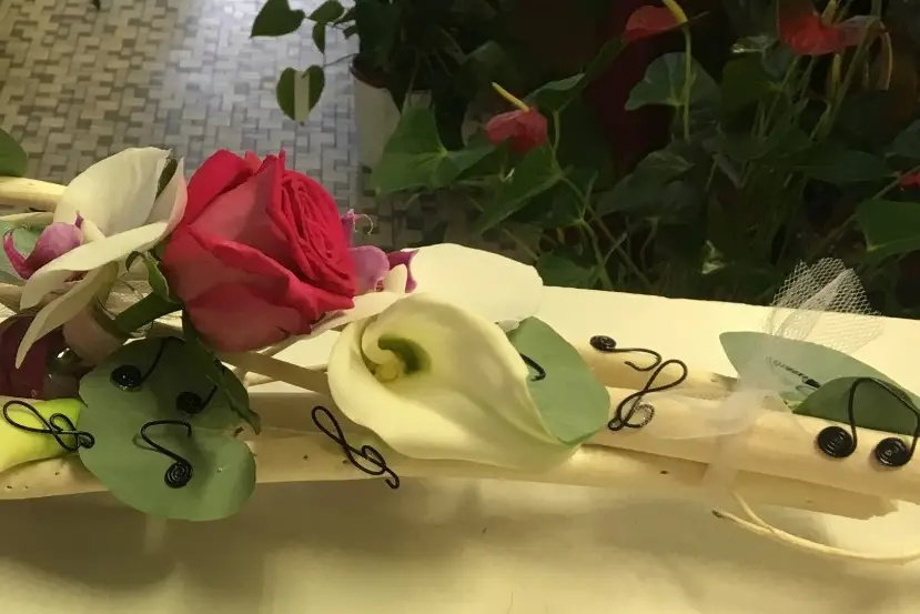 Marsyflore — photo 7