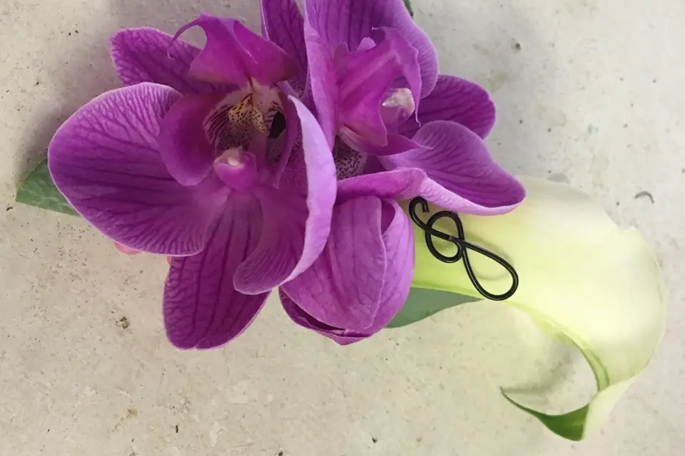 Marsyflore — photo 5