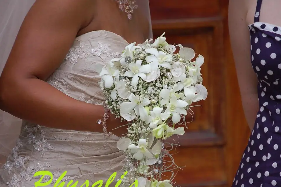 L'Atelier de Physali's — photo 5