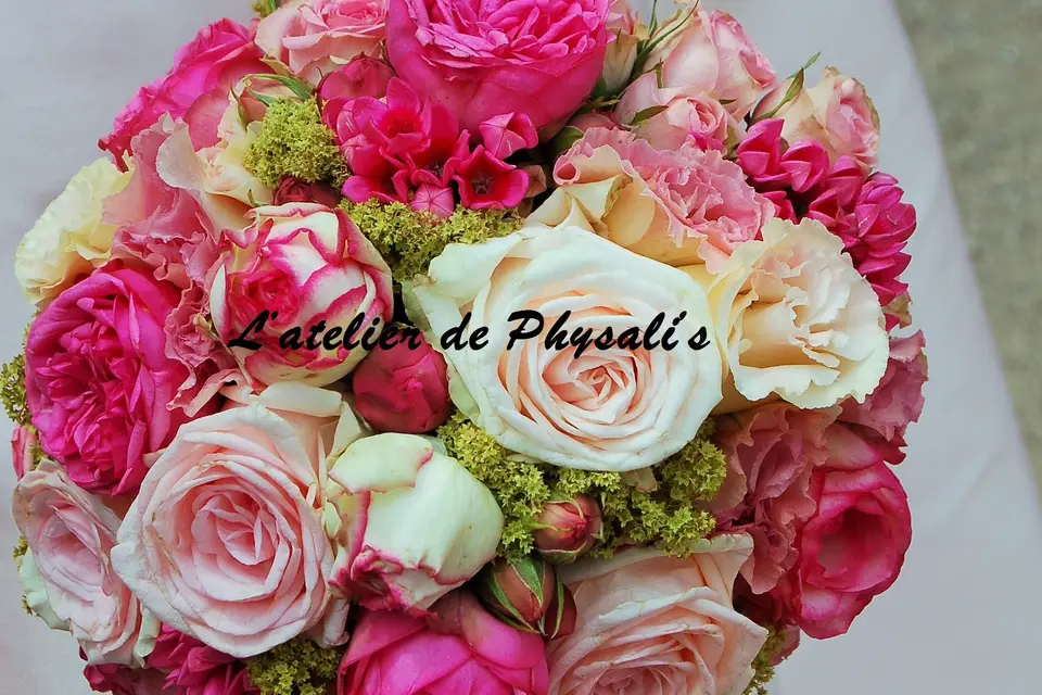 L'Atelier de Physali's — photo 6